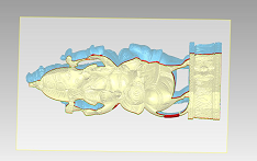 mesh-modelling